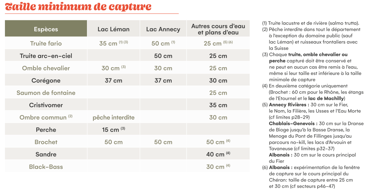 Tailles de capture 2026